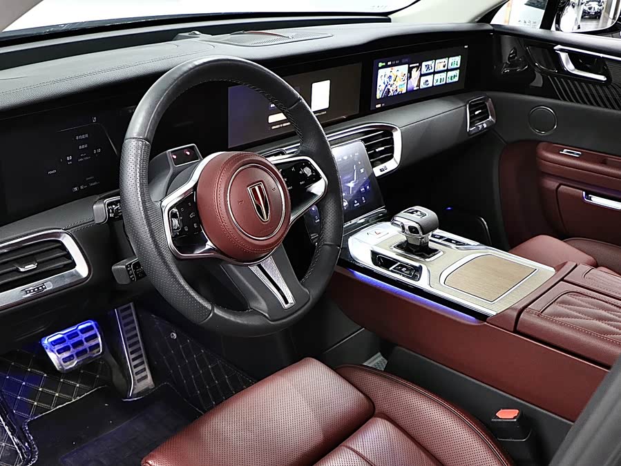 HongQi E-HS9 2023 immagine di auto #12