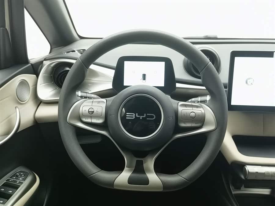 BYD Dolphin 2024 #12 BYD Dolphin 2024 car image #12