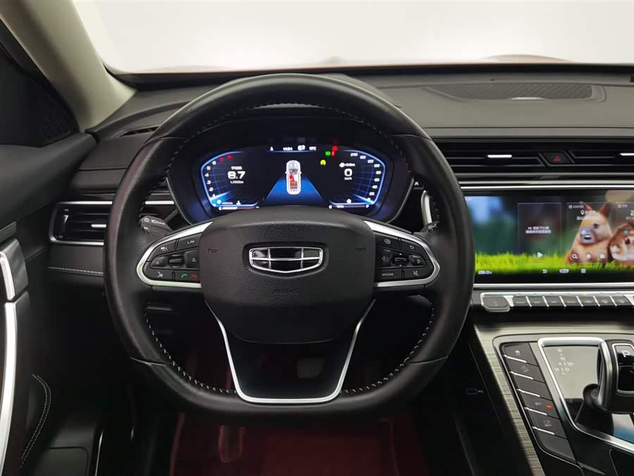 GEELY Boyue 2020 immagine di auto #12