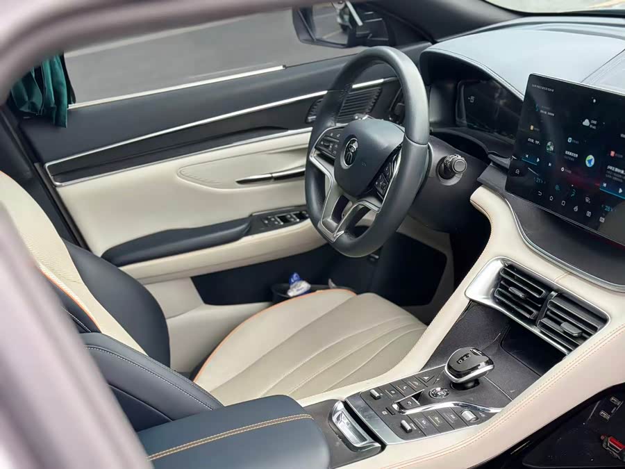 BYD Song Plus New Energy 2023 car image #12