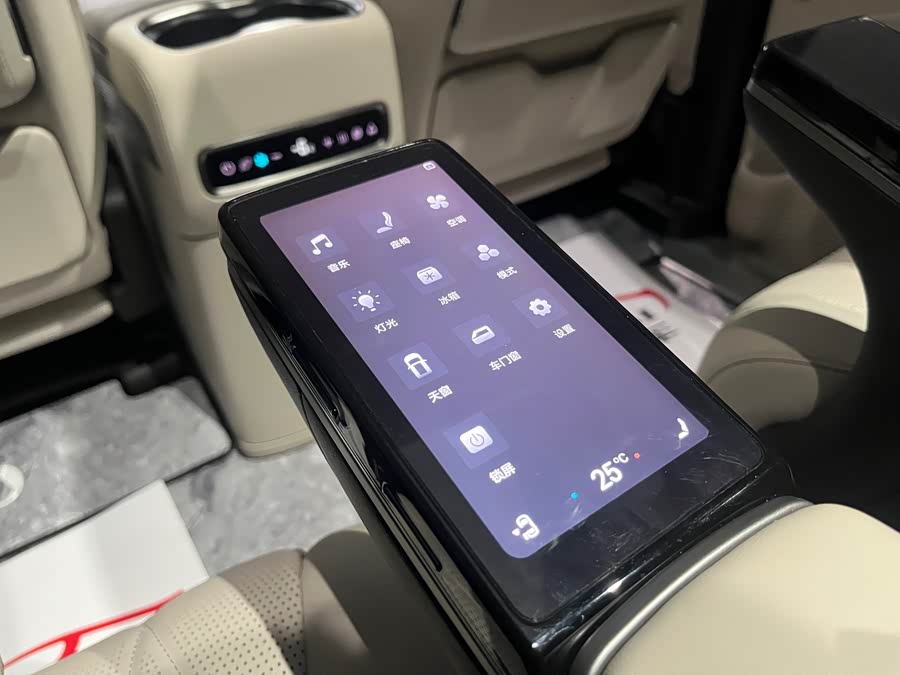 Denza D9 2025 imagen de coche #12