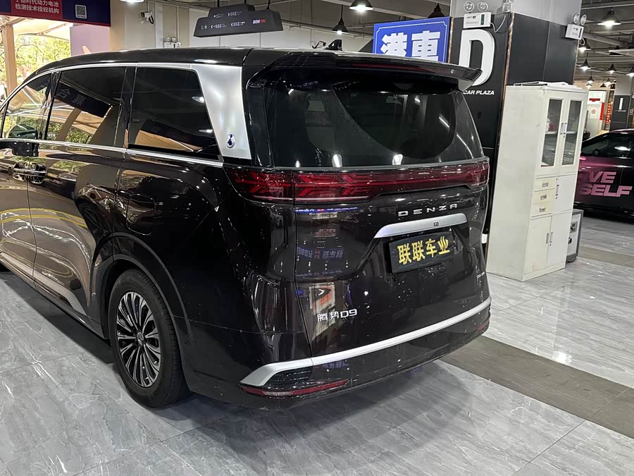 Denza D9 2024 imagen de coche #12