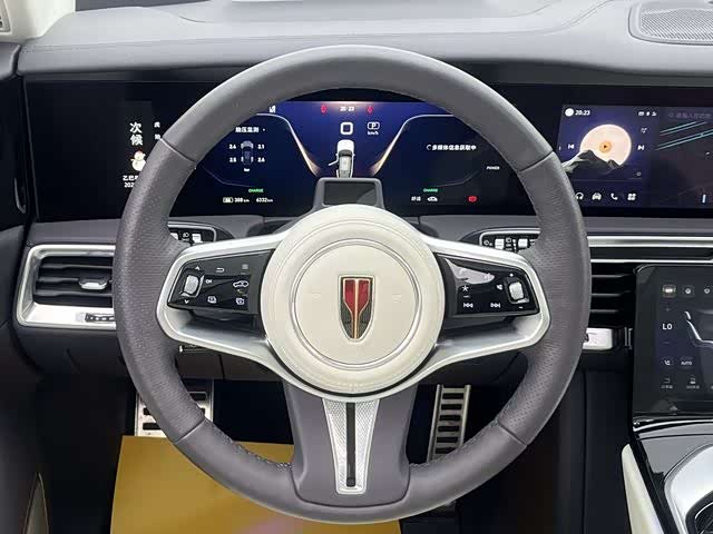 HongQi E-HS9 2023 car image #12