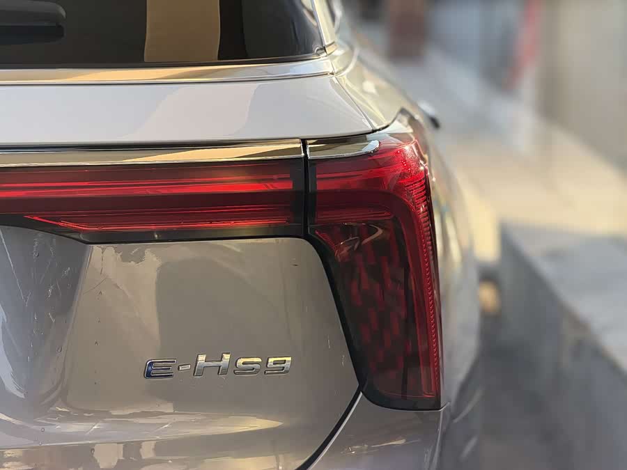 HongQi E-HS9 2022 imagen de coche #12