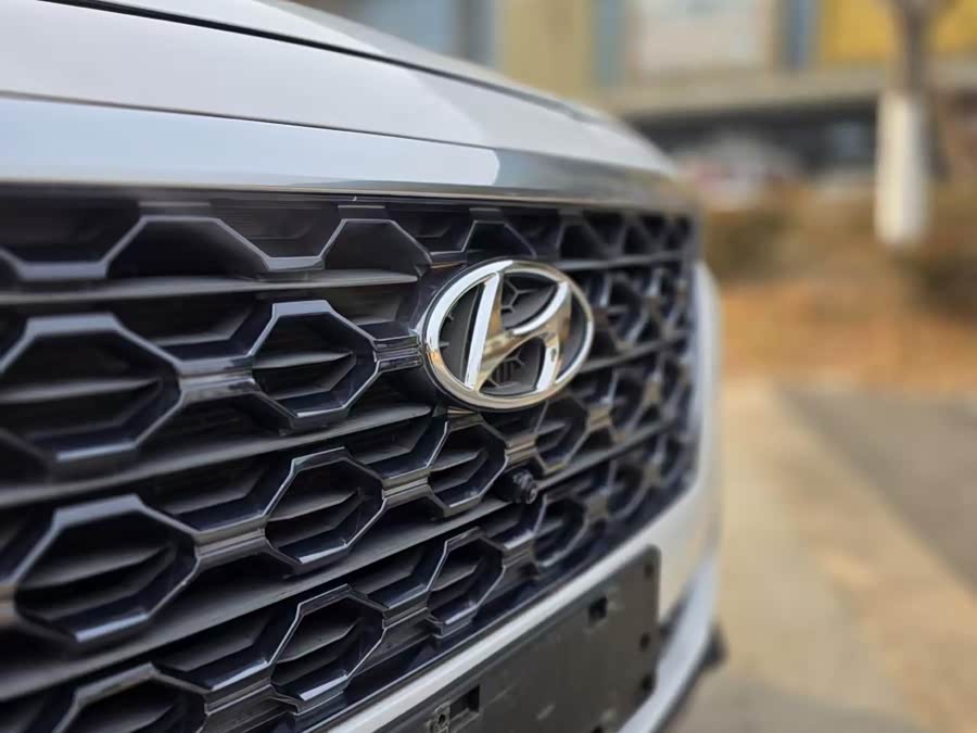 Hyundai Santa Fe 2020 immagine di auto #12