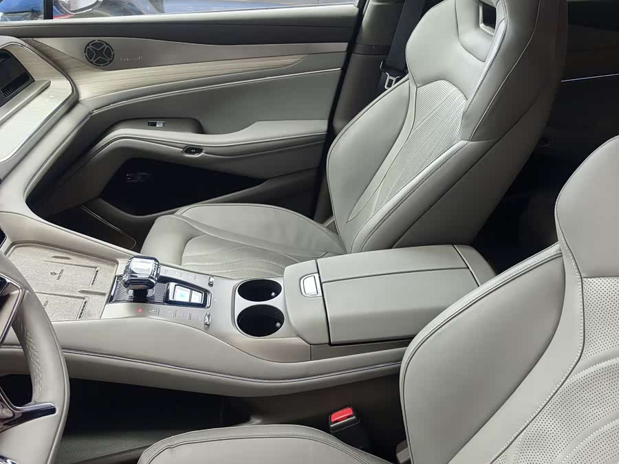 Denza N7 2023 car image #12