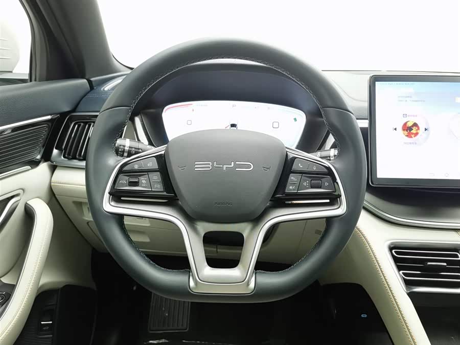 BYD Song Plus New Energy 2023 car image #12