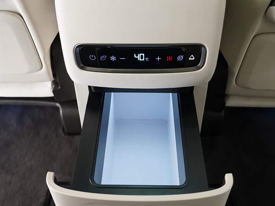 Denza D9 2024 imagem de carro #12