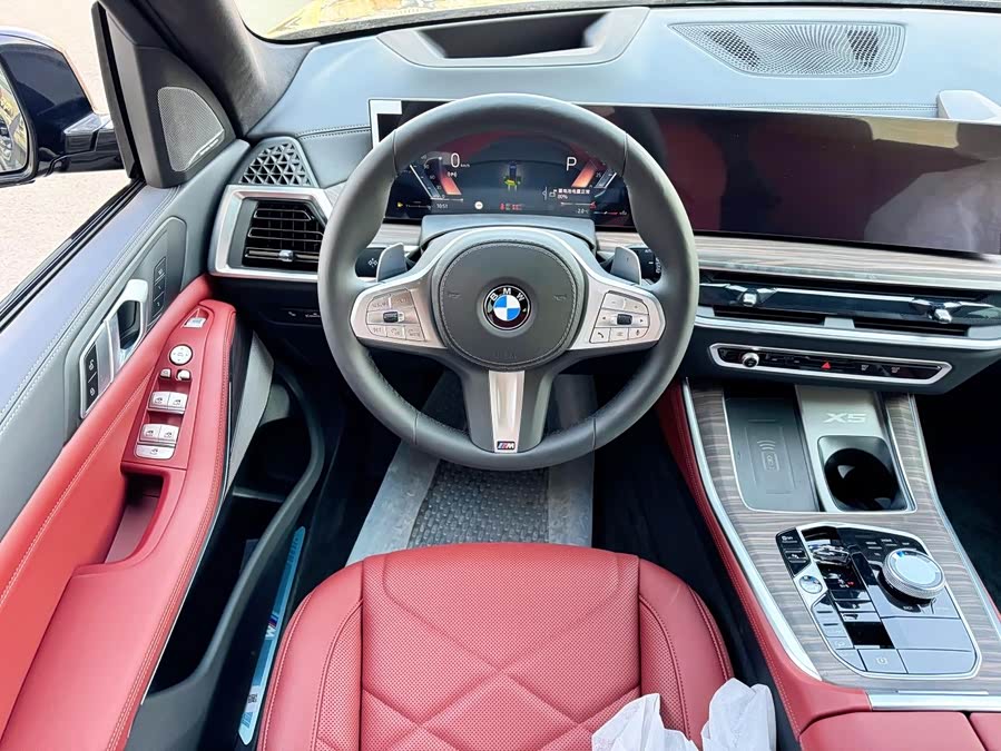 BMW X5 imagen de coche #12