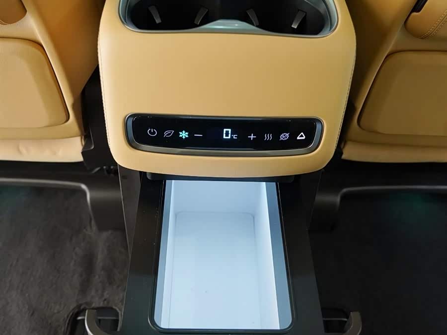 Denza D9 2025 imagen de coche #12