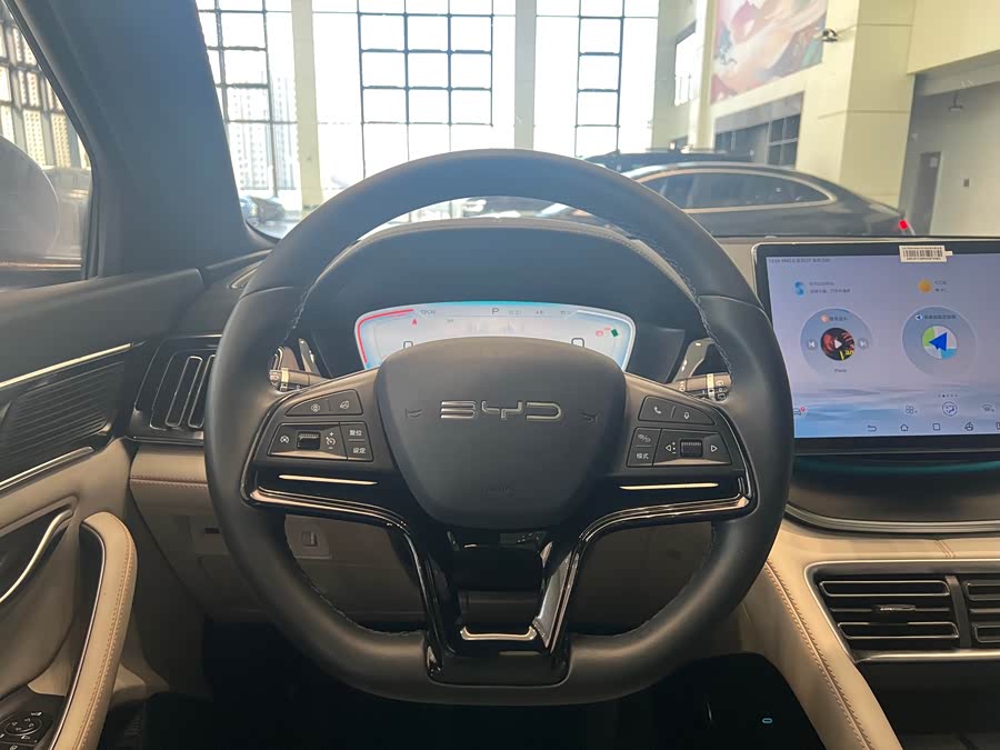 BYD Song Plus New Energy 2024 car image #12