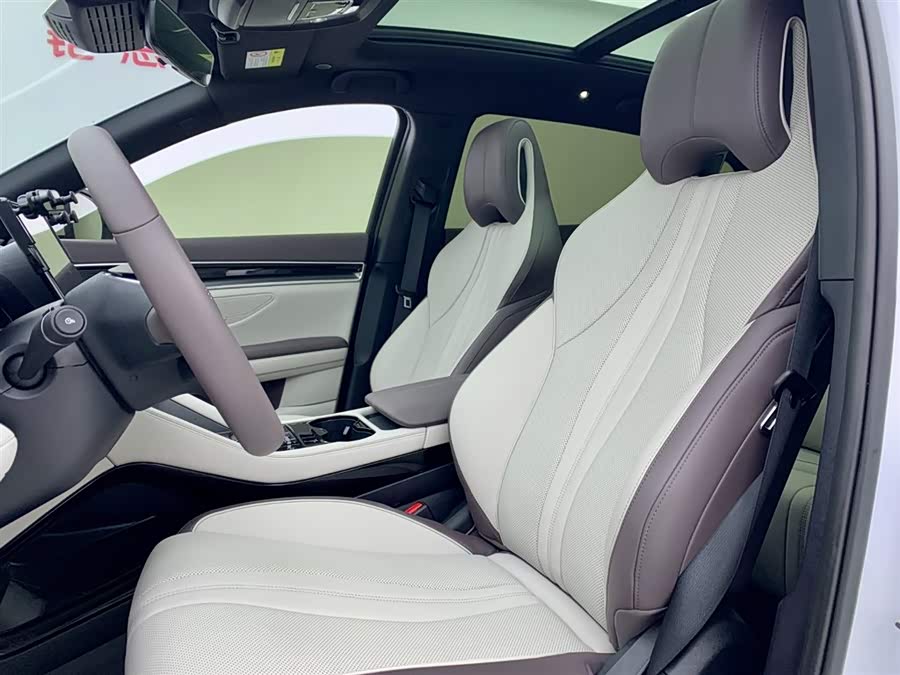 BYD Song Plus New Energy 2025 car image #12