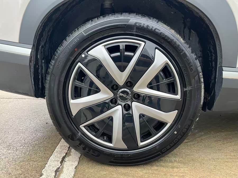 BYD Sea Lion 07 DM-i 2025 image de voiture #12