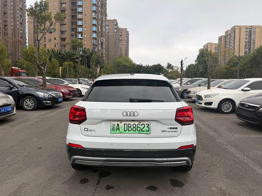 奥迪 奥迪Q2L e-tron 2020 汽车图片 #12