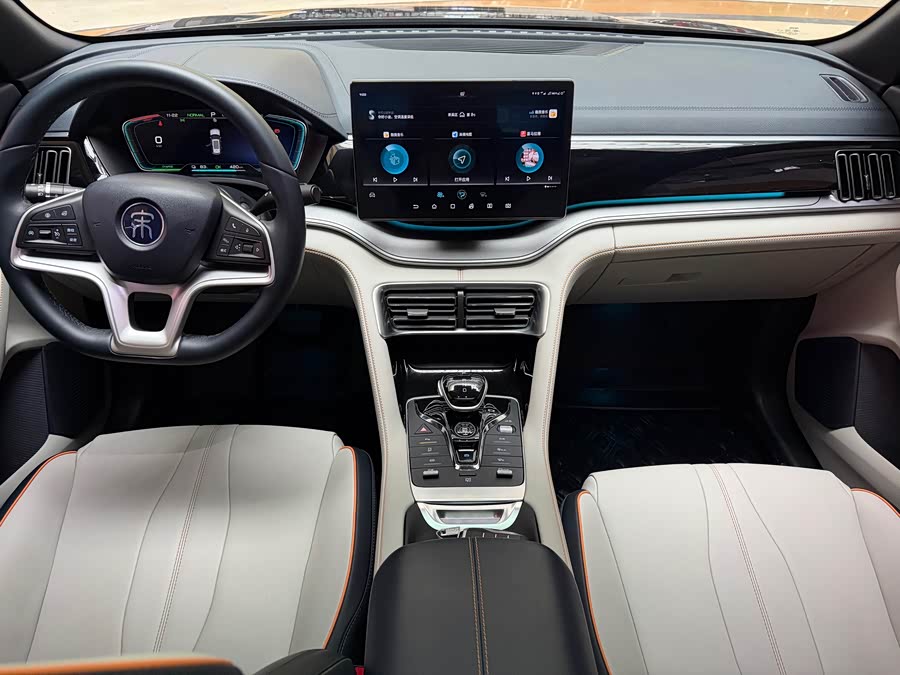 BYD Song Plus New Energy 2023 car image #12