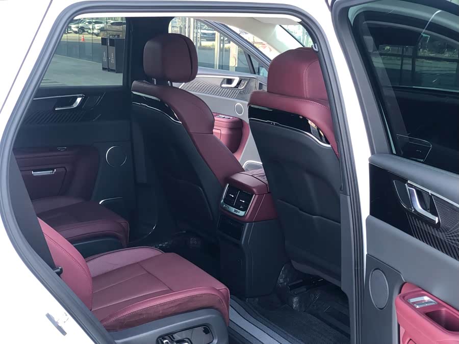 HongQi E-HS9 2021 car image #12