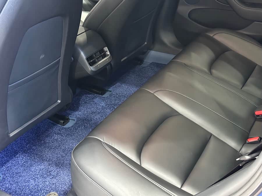 特斯拉 Model 3 2021 汽车图片 #12