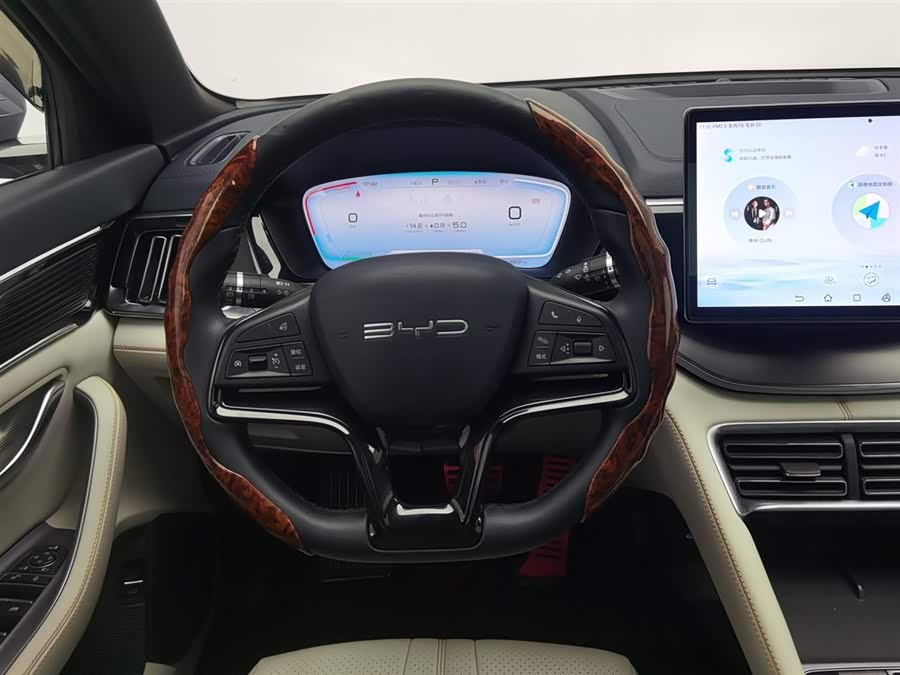 BYD Song Plus New Energy 2024 car image #12