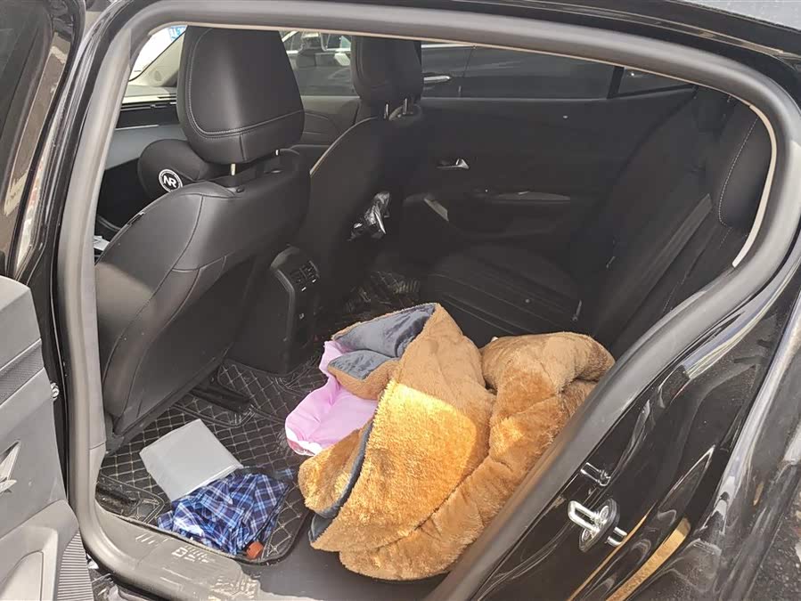 标致 标致408X 2024 汽车图片 #12