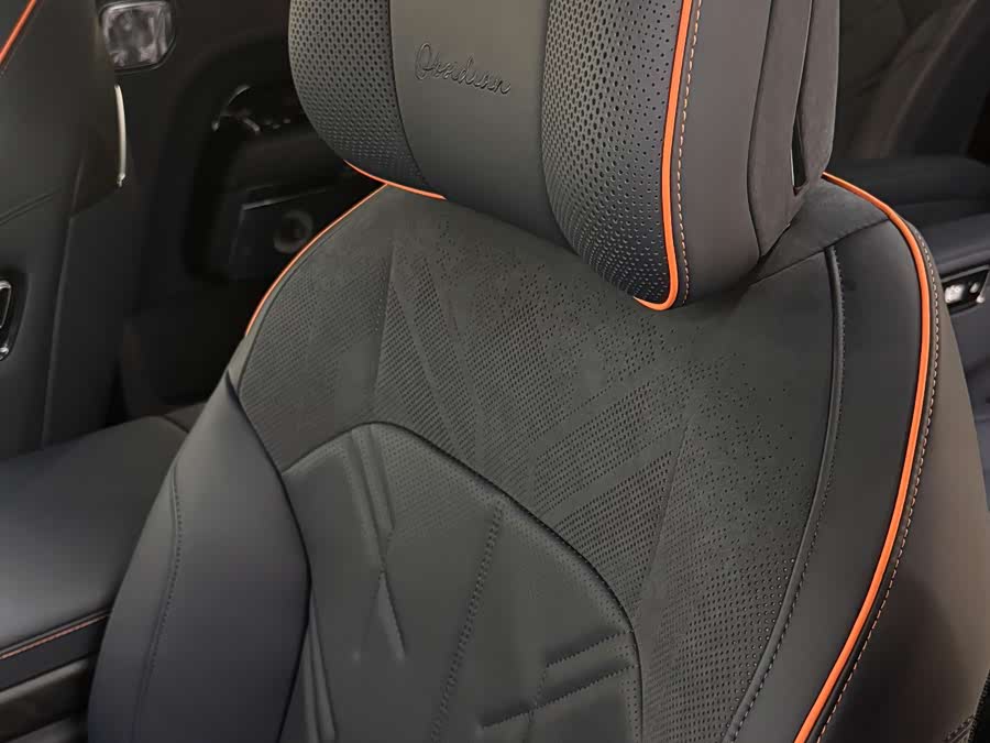 极氪 极氪9X 汽车图片 #12