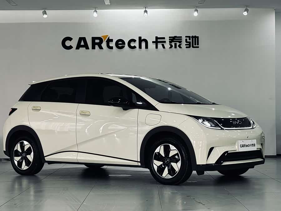 BYD Dolphin 2024 imagem de carro #12