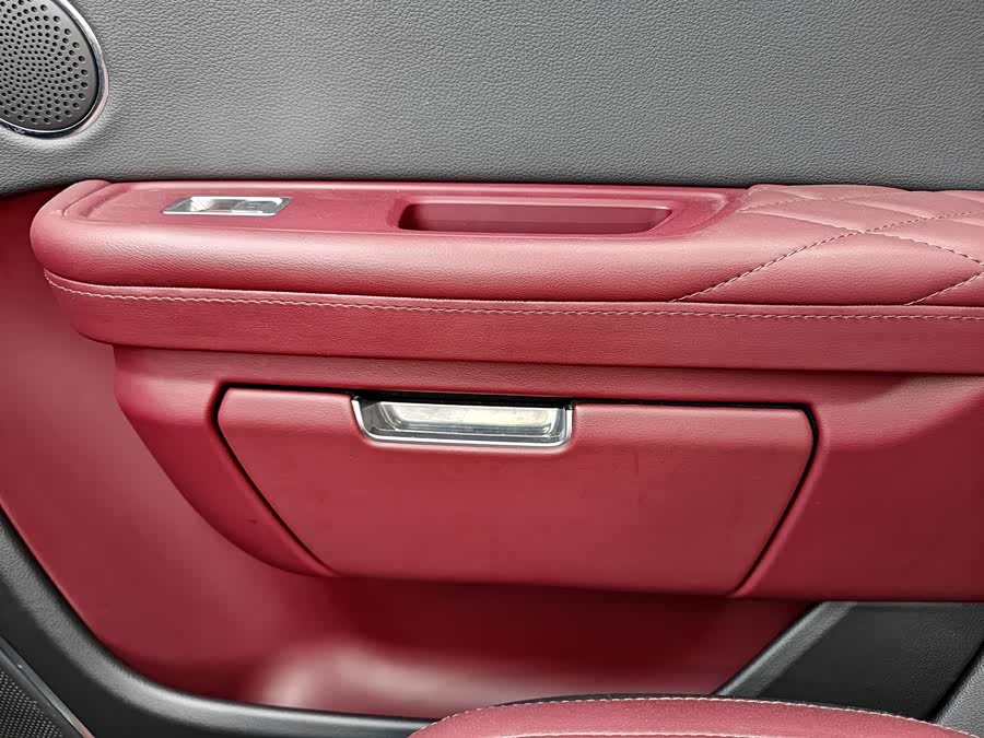 HongQi E-HS9 2021 immagine di auto #12