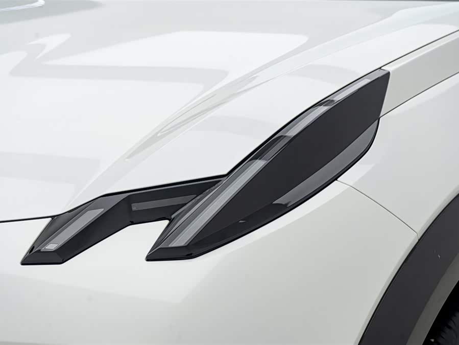 Zeekr X 2024 immagine di auto #12