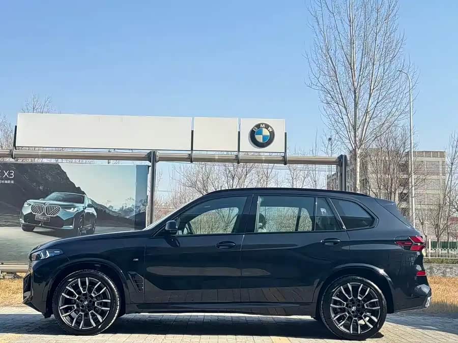 BMW X5 imagen de coche #12