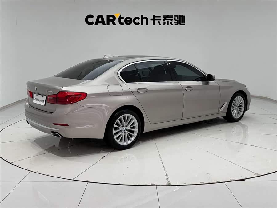 BMW 5 Series 2019 immagine di auto #12