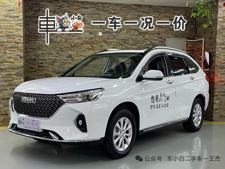 哈弗 哈弗M6 2021 汽车图片 #12