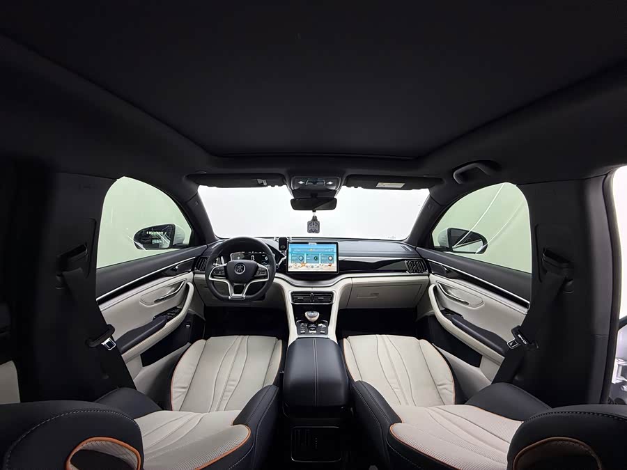 BYD Song Plus New Energy 2022 immagine di auto #12