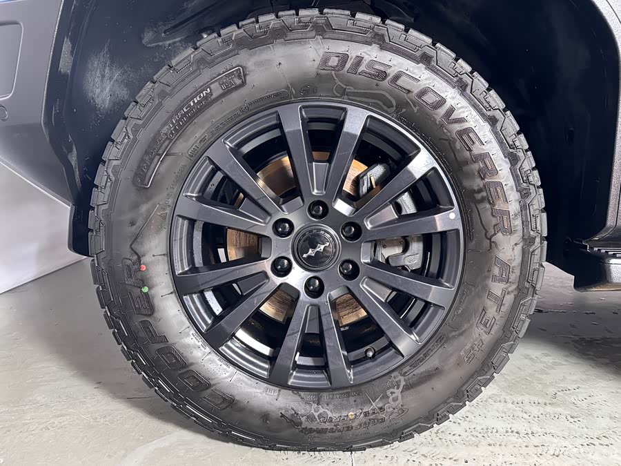 FangChengBao Leopard 5 2023 car image #12