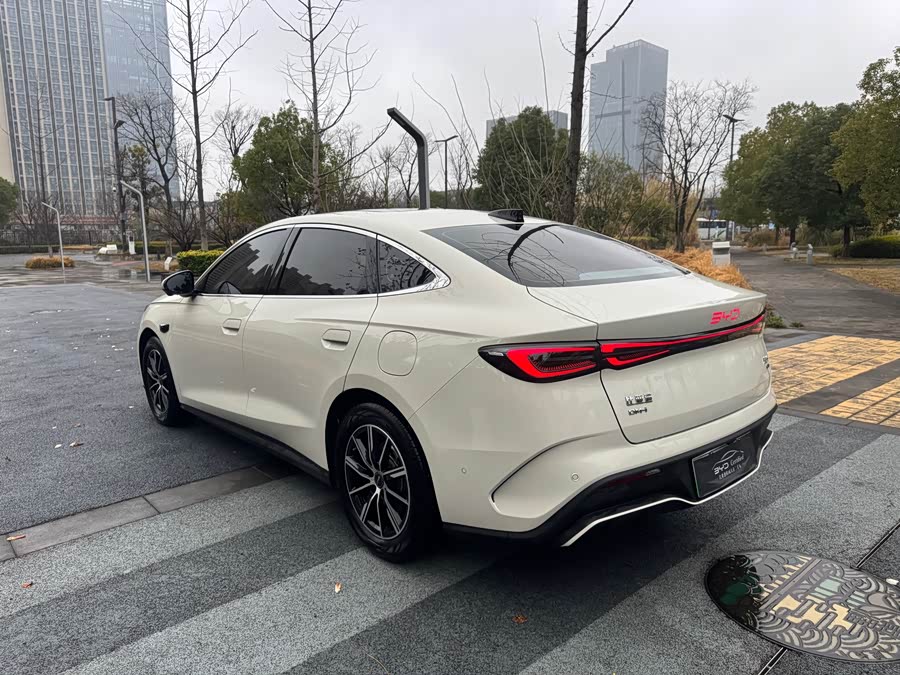 BYD Tang New Energy 2022 car image #12