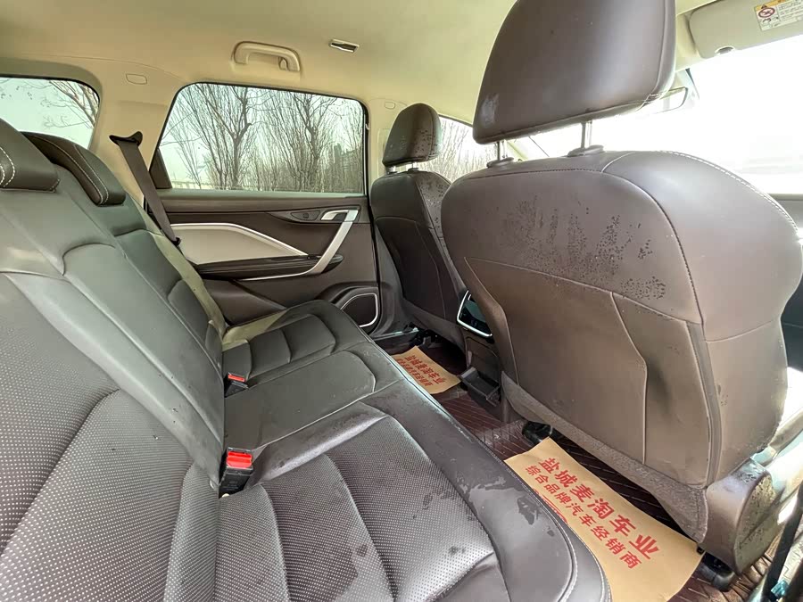 睿蓝汽车 枫叶80v 2020 汽车图片 #12