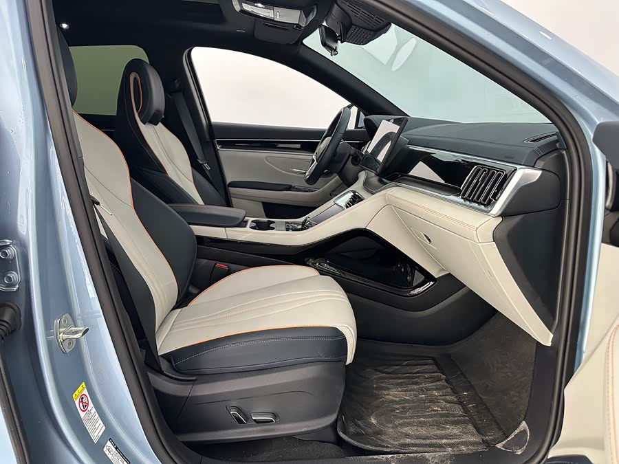 BYD Song Plus New Energy 2024 immagine di auto #12