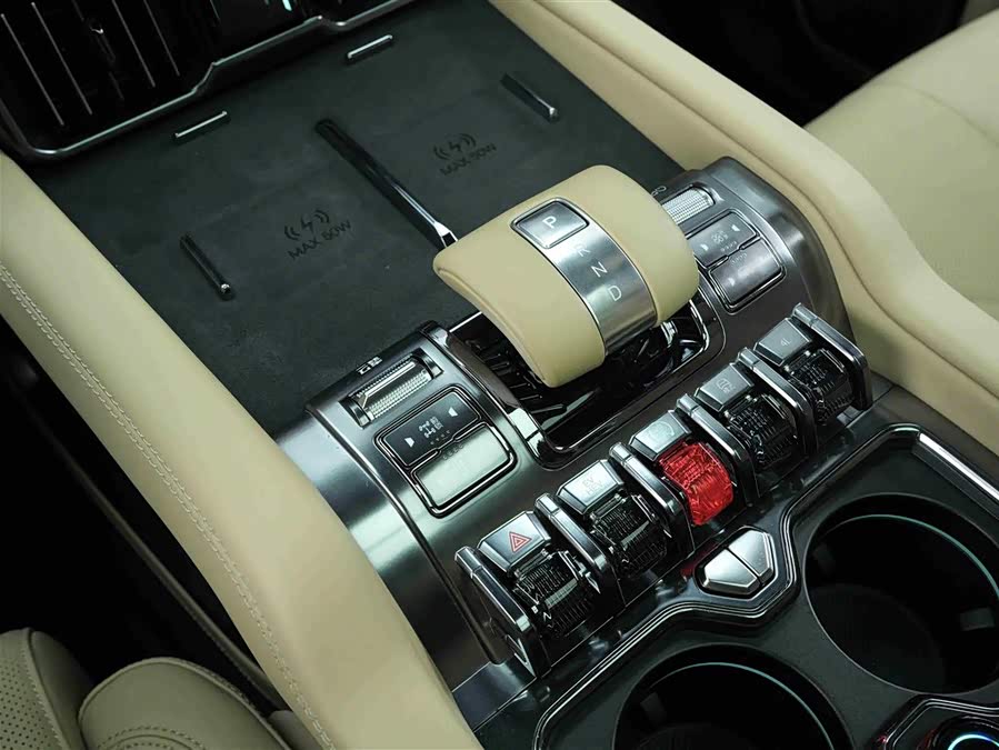 FangChengBao Leopard 8 2024 immagine di auto #12