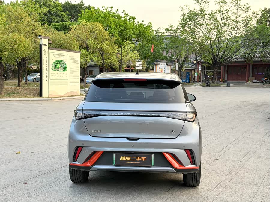 BYD Dolphin 2023 imagem de carro #12