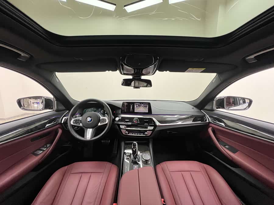 BMW 5 Series 2019 car image #12