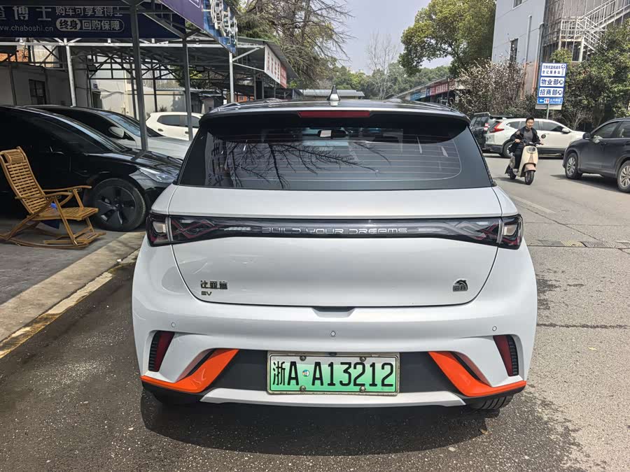 BYD Dolphin 2021 imagem de carro #12