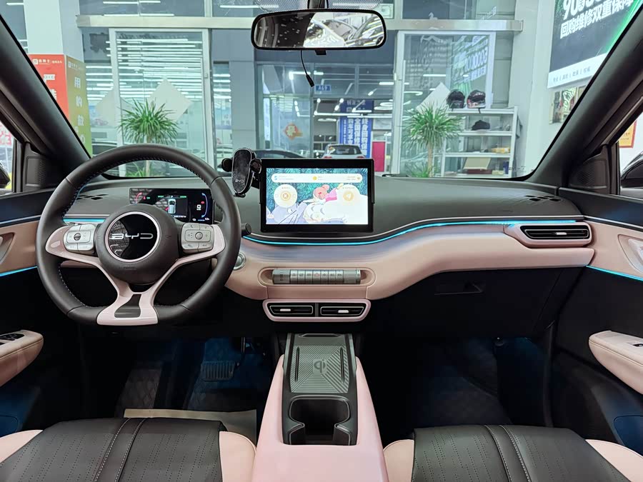 BYD Seagull 2024 immagine di auto #12