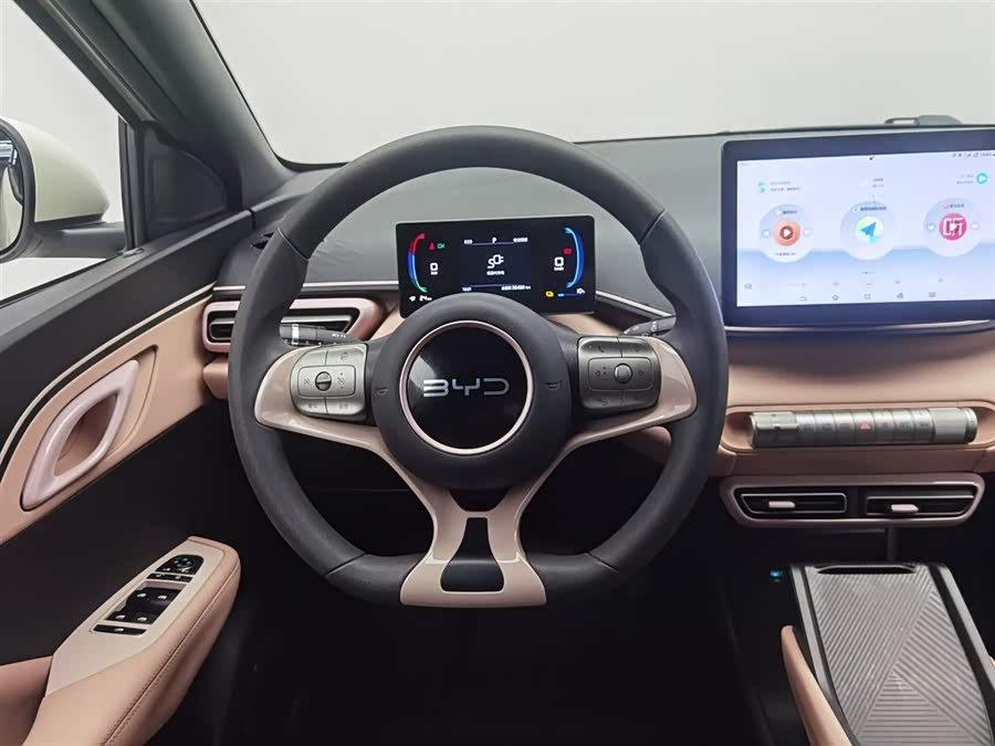 BYD Seagull 2024 immagine di auto #12