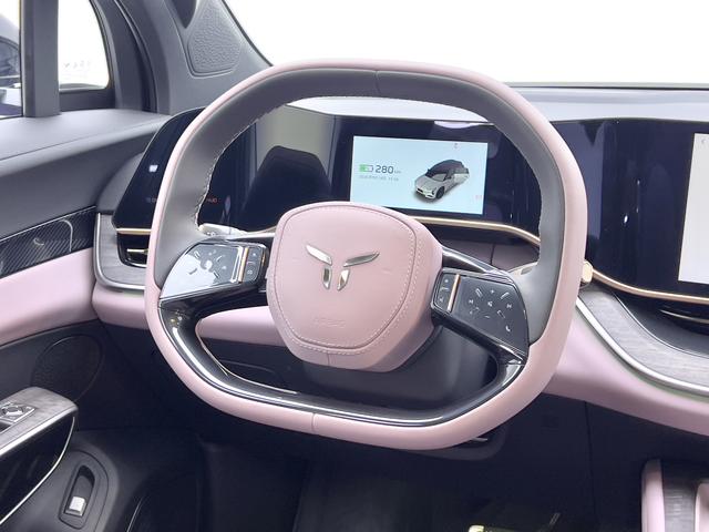 HongQi TianGong 08 2025 car image #12