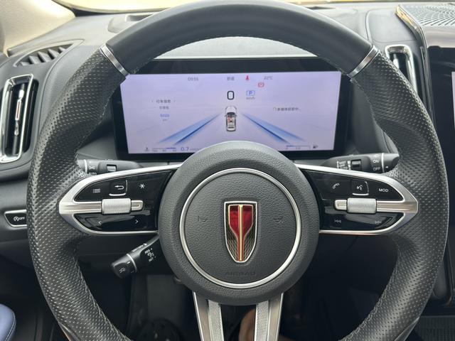 HongQi HS3 2023 immagine di auto #12