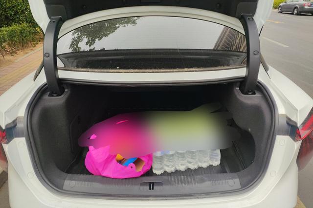 HongQi EH7 2024 #12 HongQi EH7 2024 car image #12