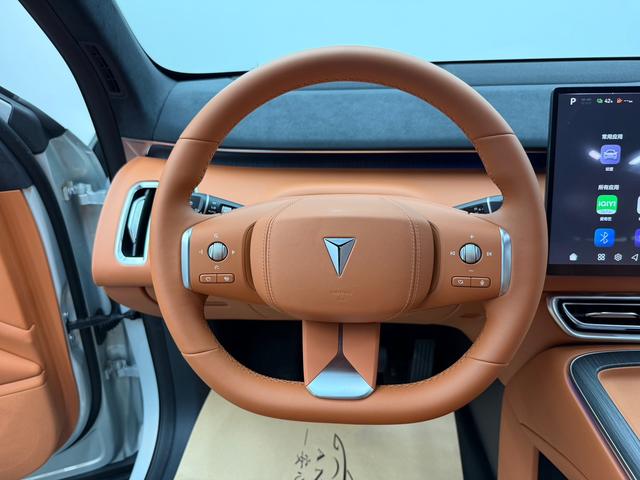 Deepal S09 2025 car image #12