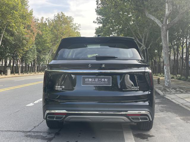 HongQi HS7 PHEV 2024 immagine di auto #12