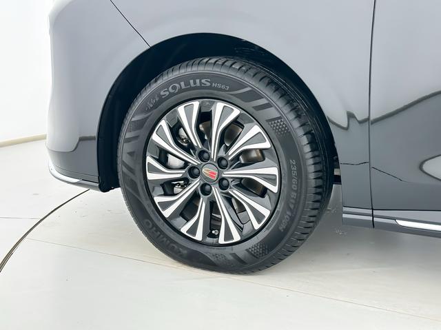 HongQi HQ9 PHEV 2025 #12 HongQi HQ9 PHEV 2025 car image #12