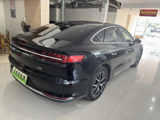 BYD e9 2021 car image #12