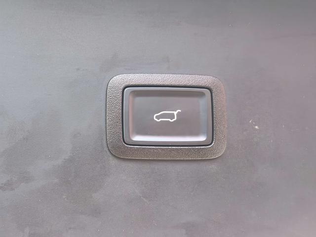 HongQi HQ9 PHEV 2024 #12 HongQi HQ9 PHEV 2024 car image #12