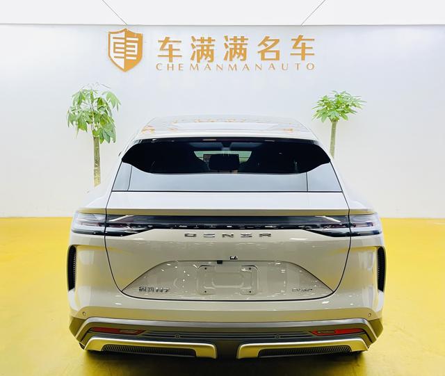 Denza N7 2023 car image #12